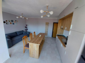 The gray sea view apartment